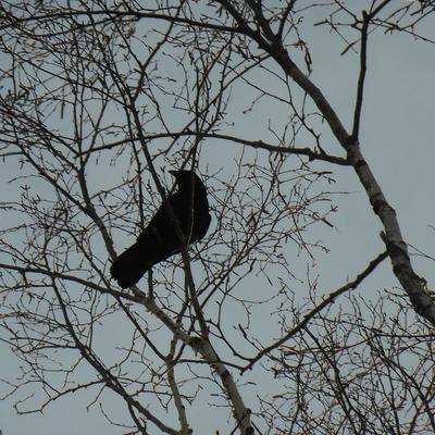 cassandra_complex@beige.party