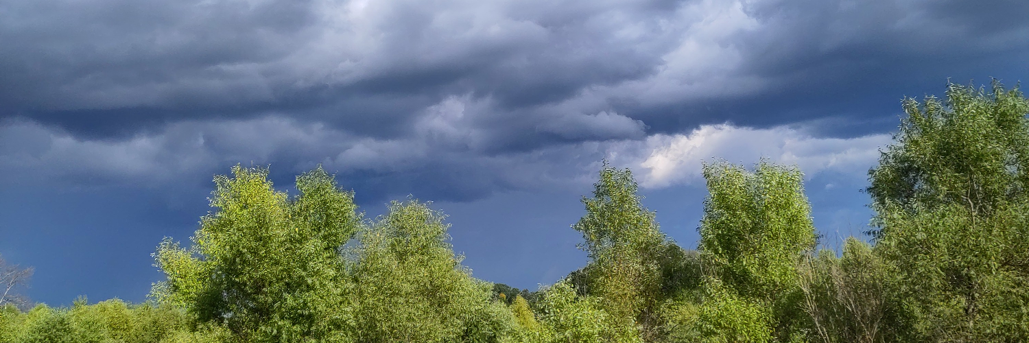 DoryTheFish's profile header