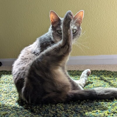 paulgatling's avatar