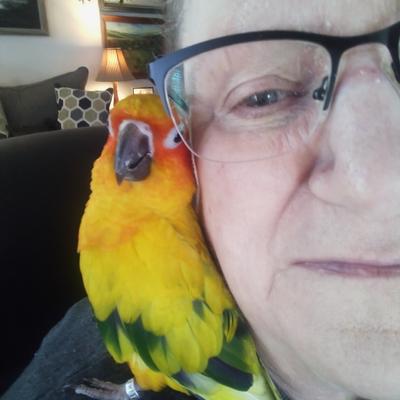 raemahoney's avatar