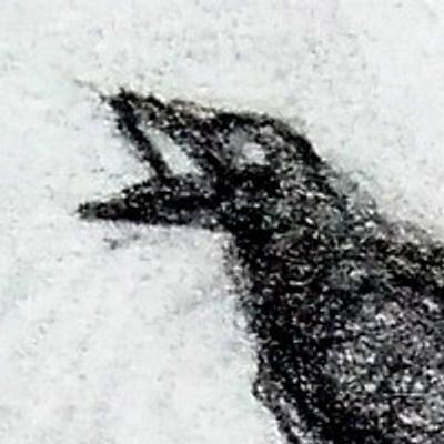 brood's avatar