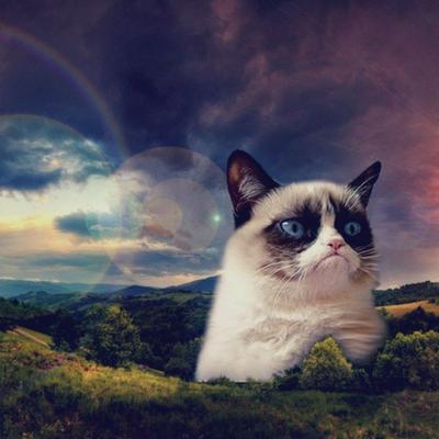 raar's avatar
