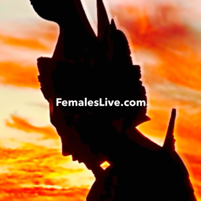 ChillinBrazil's avatar