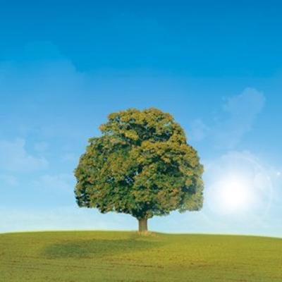 Genealogie_nu's avatar