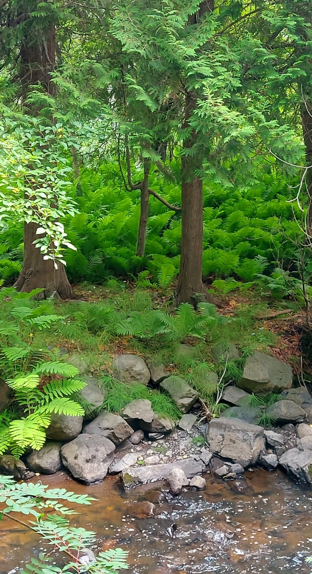 lynnedubois's profile header