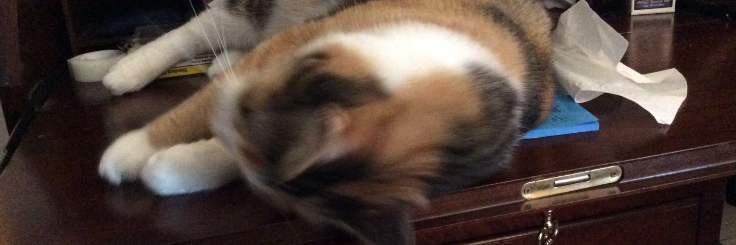 Dianora's profile header