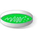 :agar_plate: