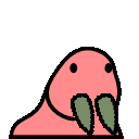 :party_walrus: