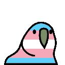 :trans_parrot: