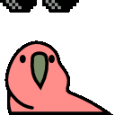 :dwipartyparrot: