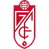 :futbol_granada: