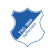 :tsg_hoffenheim: