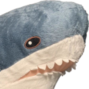 :blahaj2: