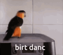 :birt_dance: