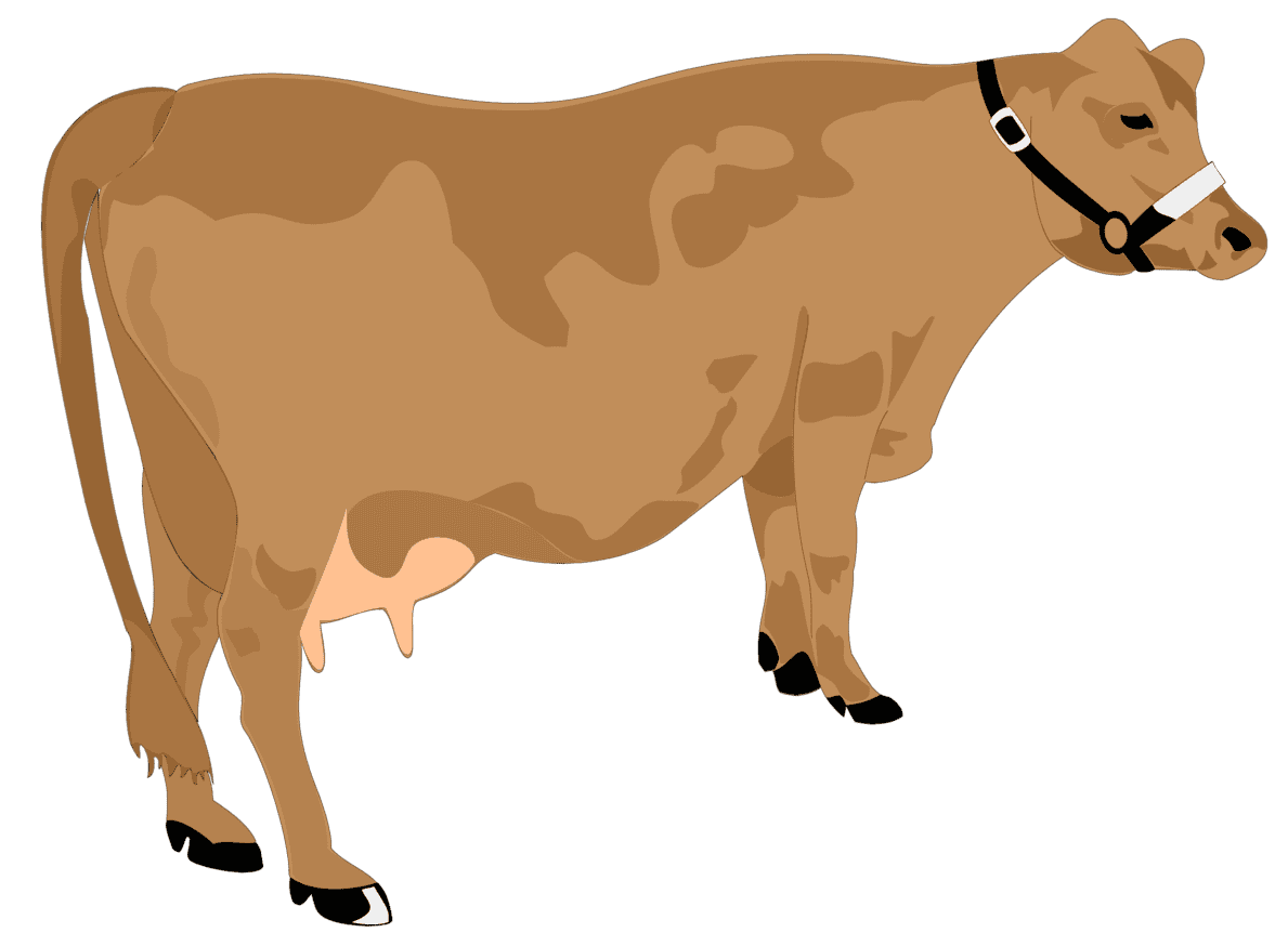 :COW1_PNG: