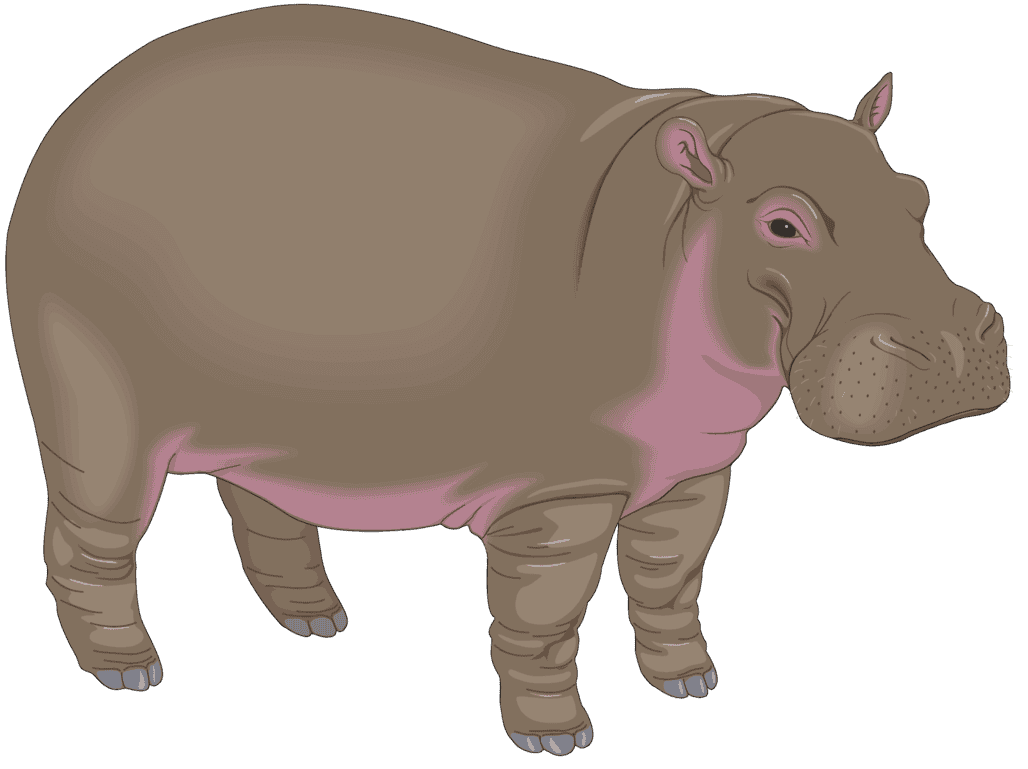 :HIPPOT_PNG: