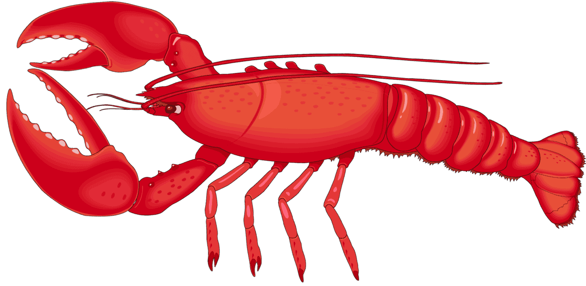 :LOBSTER1_PNG: