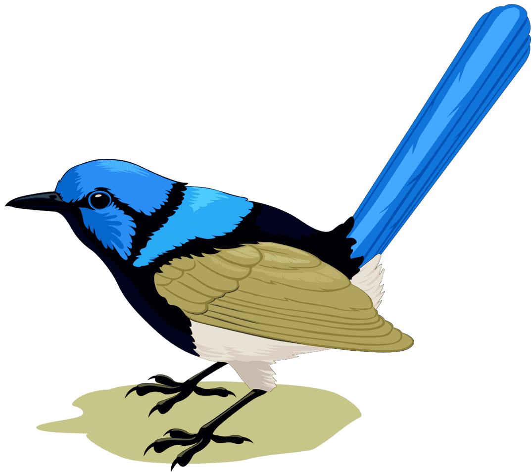 :SBLUEWRN_PNG: