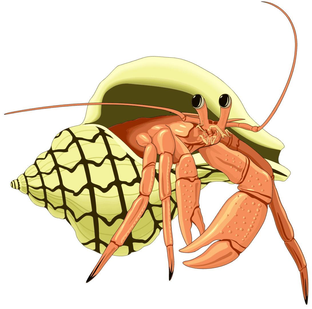 :HERMIT_PNG: