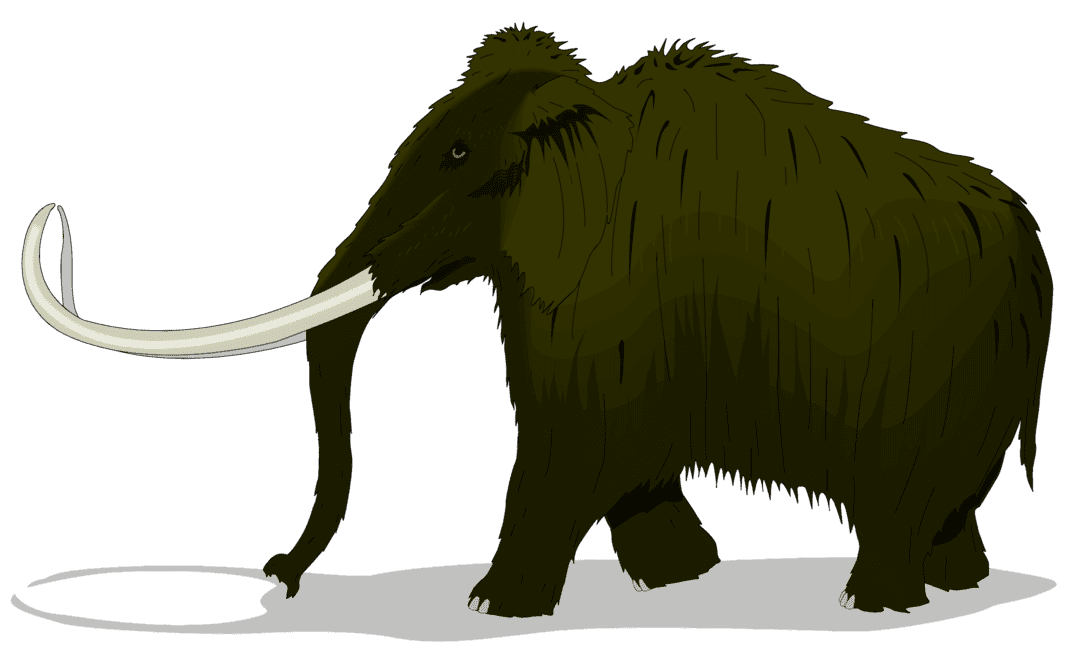 :MAMMOTH_PNG: