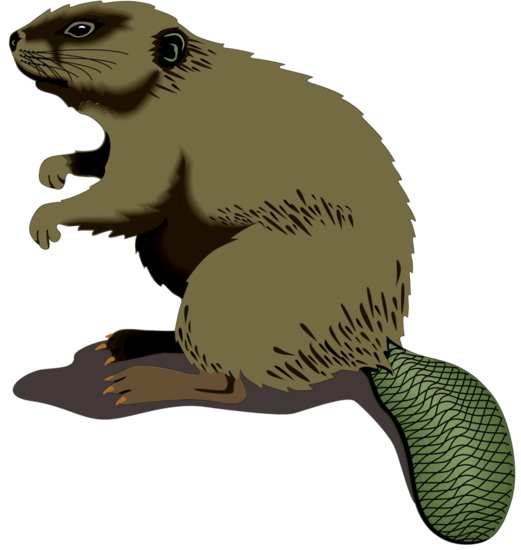 :BEAVER_PNG: