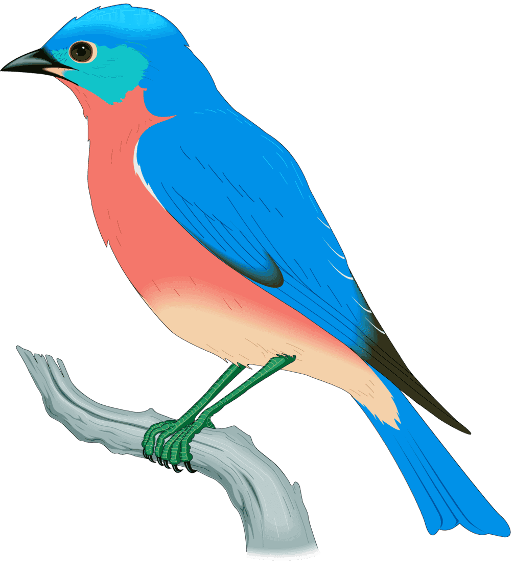 :BLUEBIRD_PNG:
