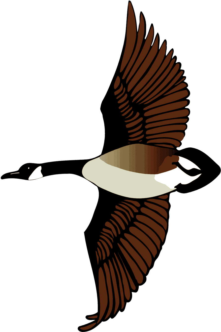 :CANADAGO_PNG: