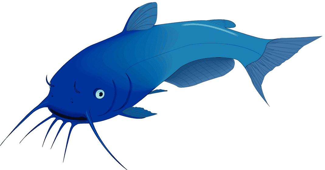 :CATFISH_PNG: