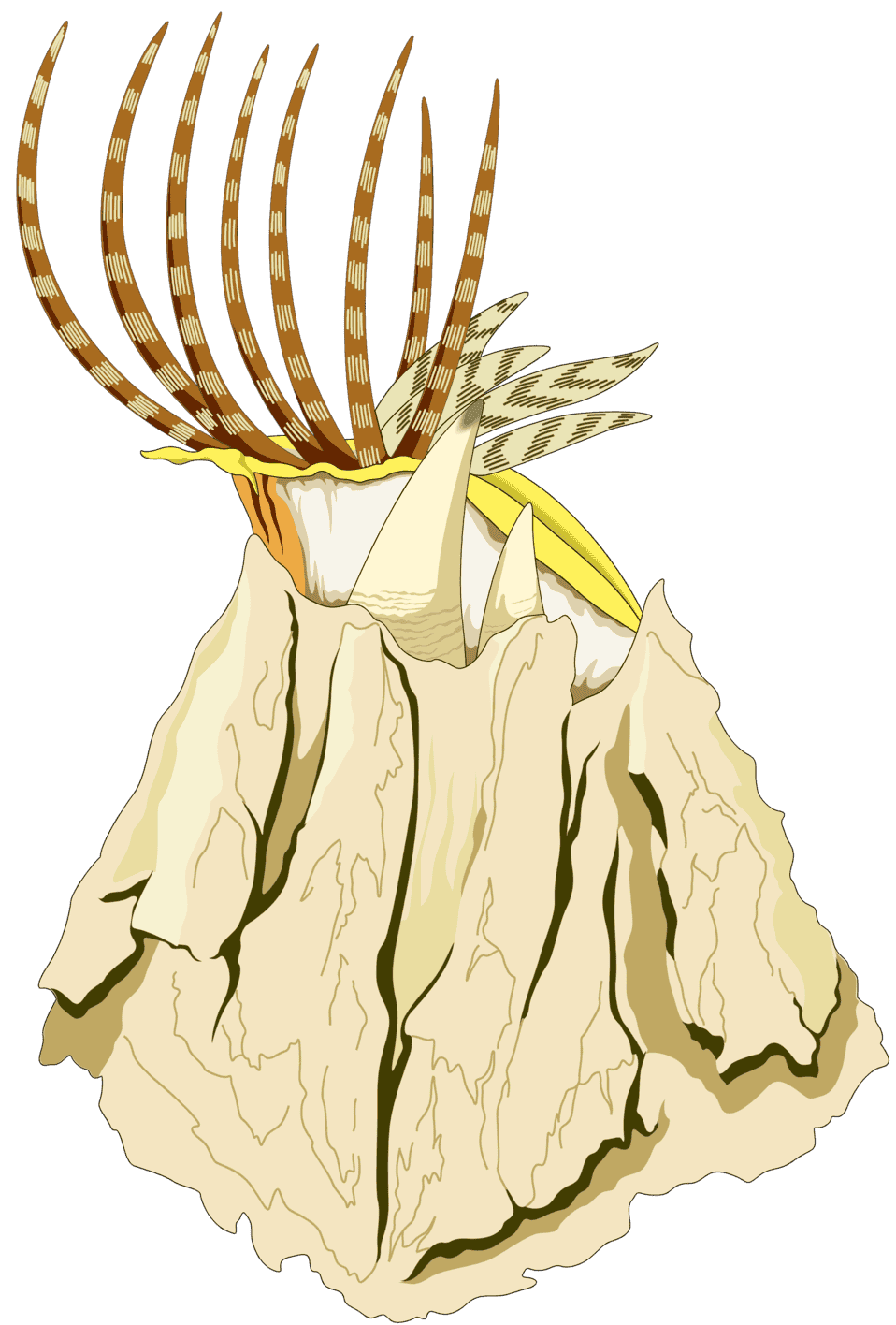 :BARNACLE_PNG: