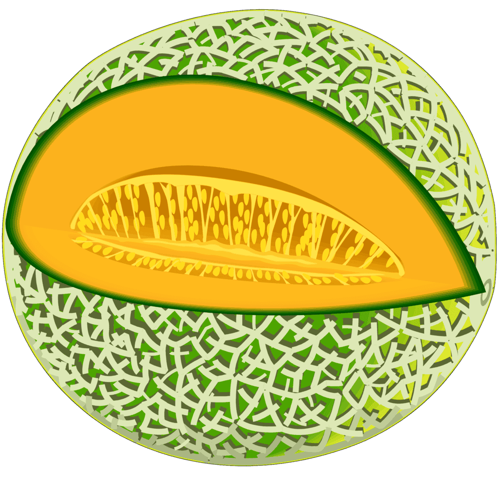 :CANTALO_PNG: