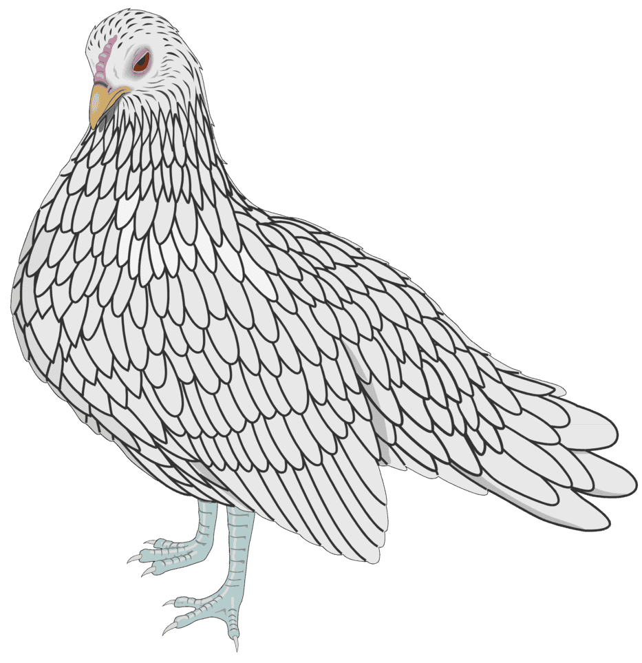 :BANTAM_PNG: