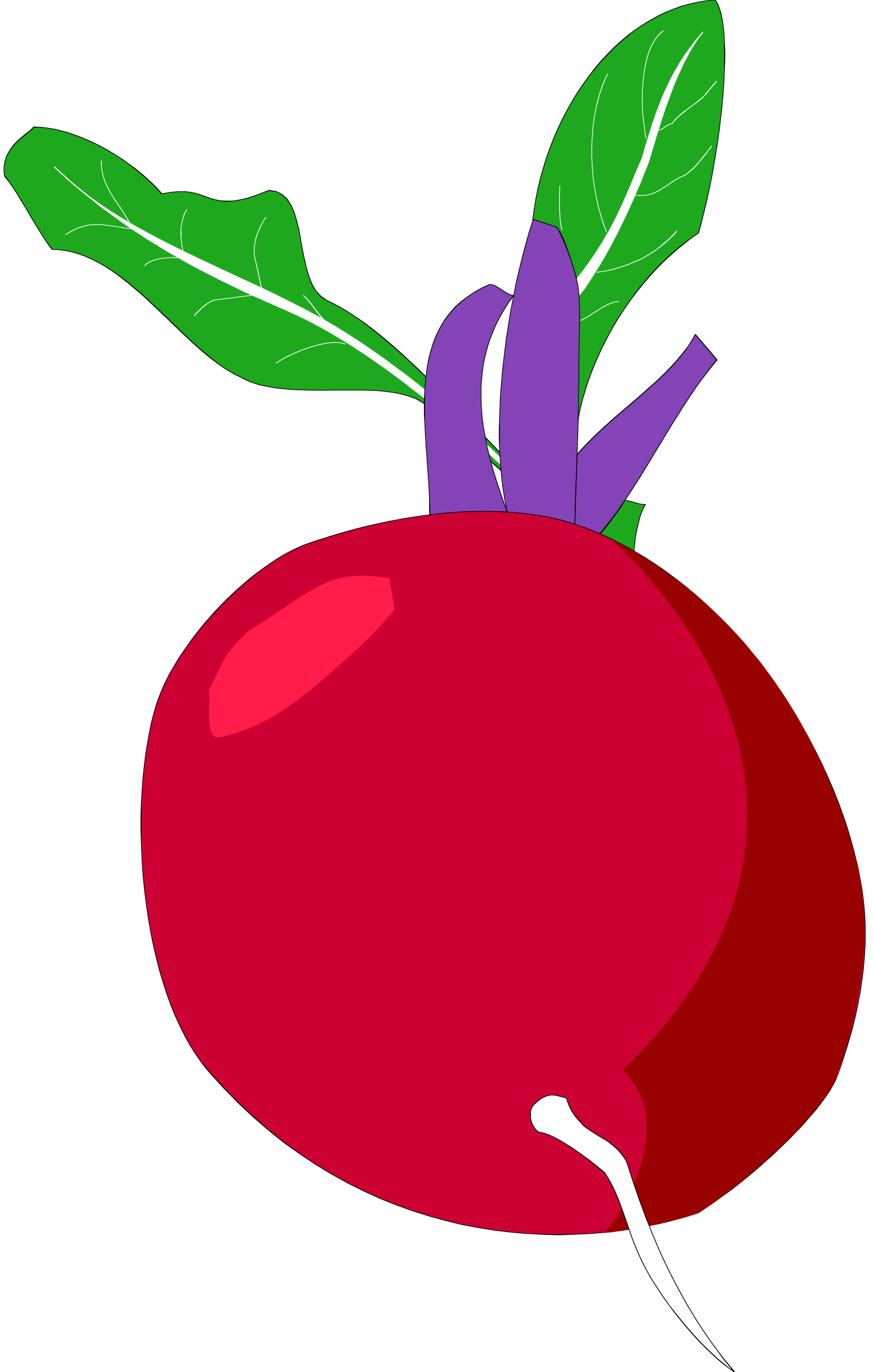 :BEET_PNG: