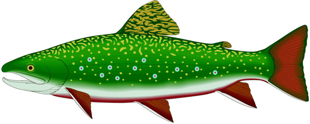 :BRTROUT_PNG: