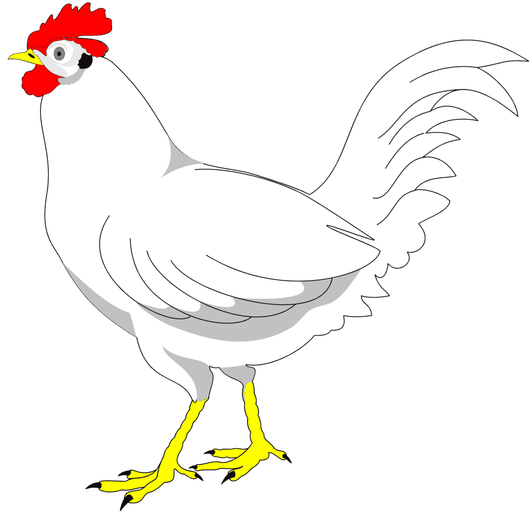 :CHICKEN_PNG: