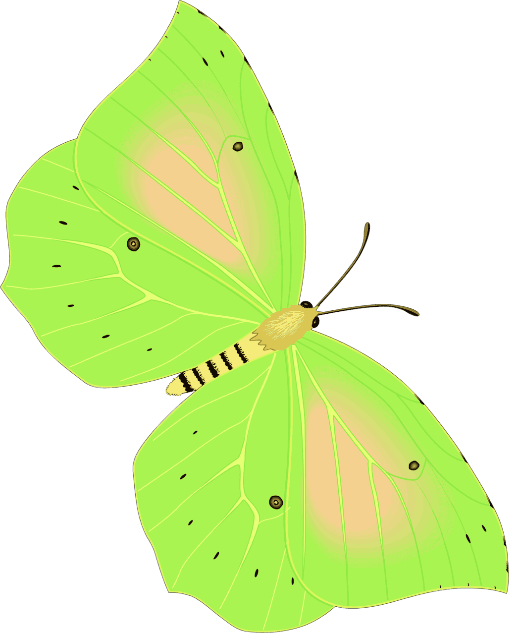 :CLEOPTR_PNG: