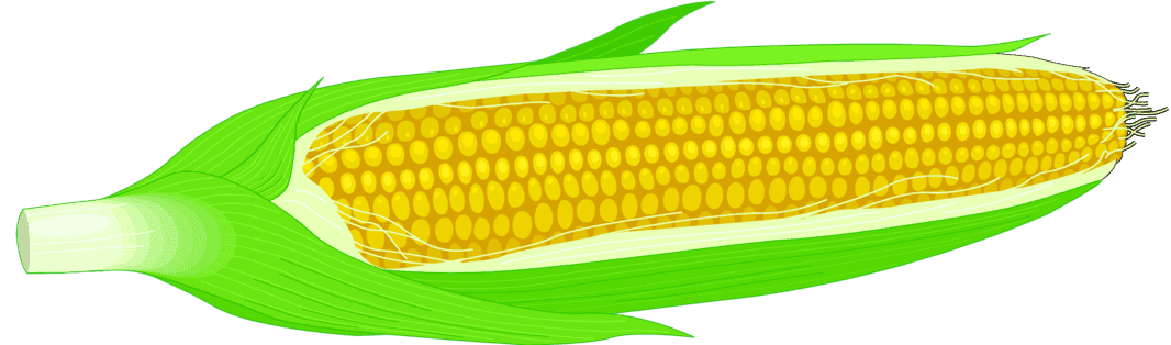 :CORNCOB_PNG: