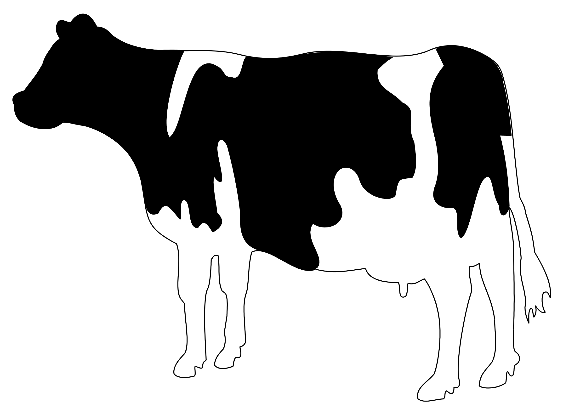 :COW2_PNG: