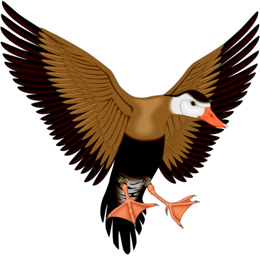 :WHISTLE_PNG: