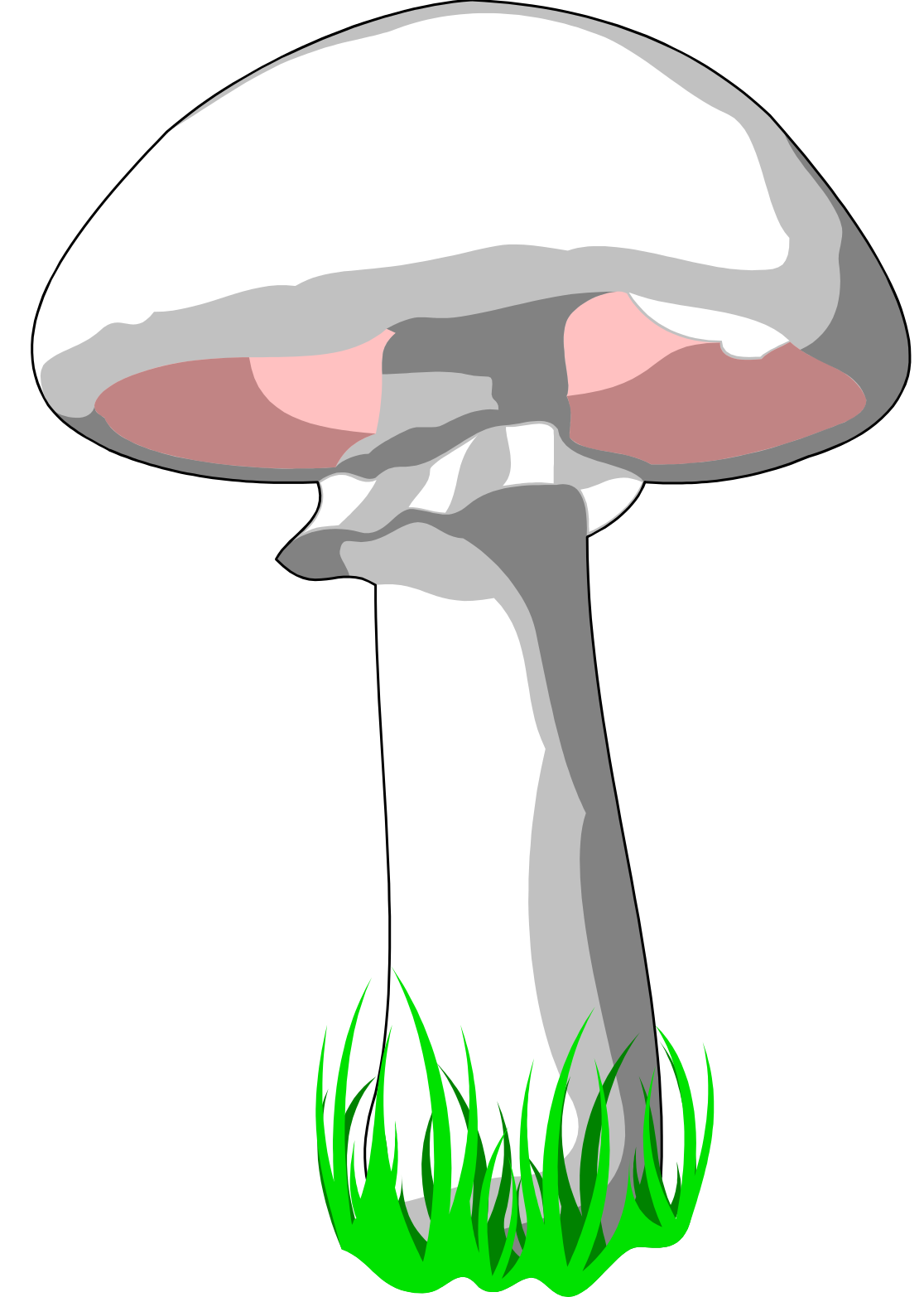 :MUSHRM2_PNG: