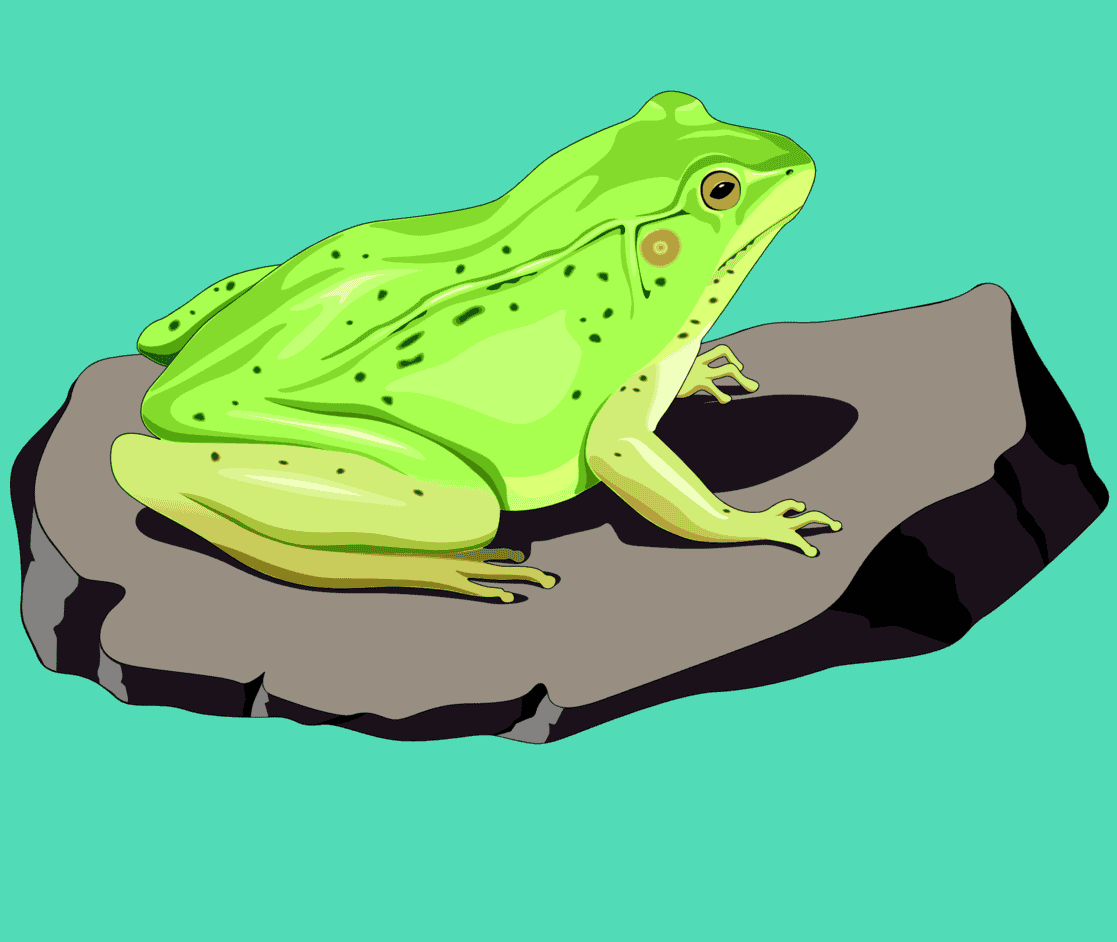 :FROGO_PNG: