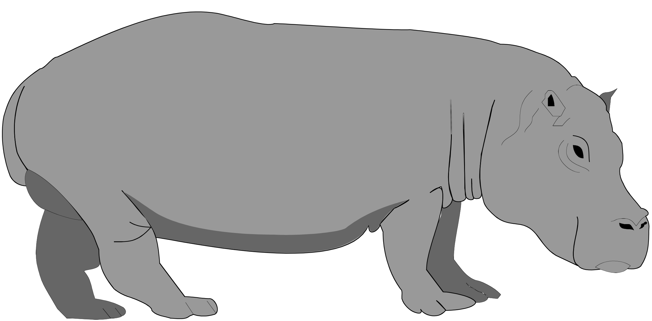 :HIPPO_PNG: