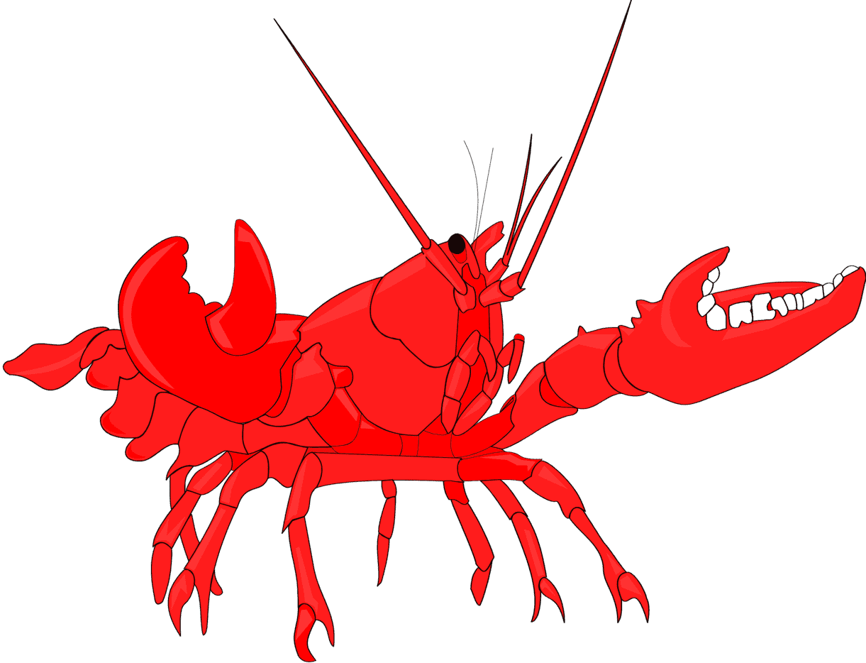 :LOBSTER5_PNG: