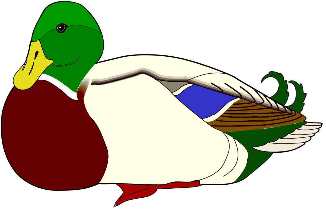 :MALLARD_PNG: