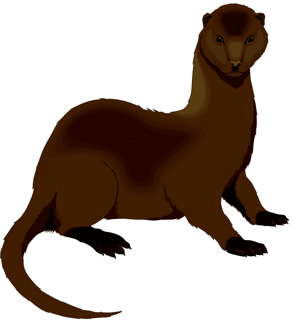 :MINK_PNG: