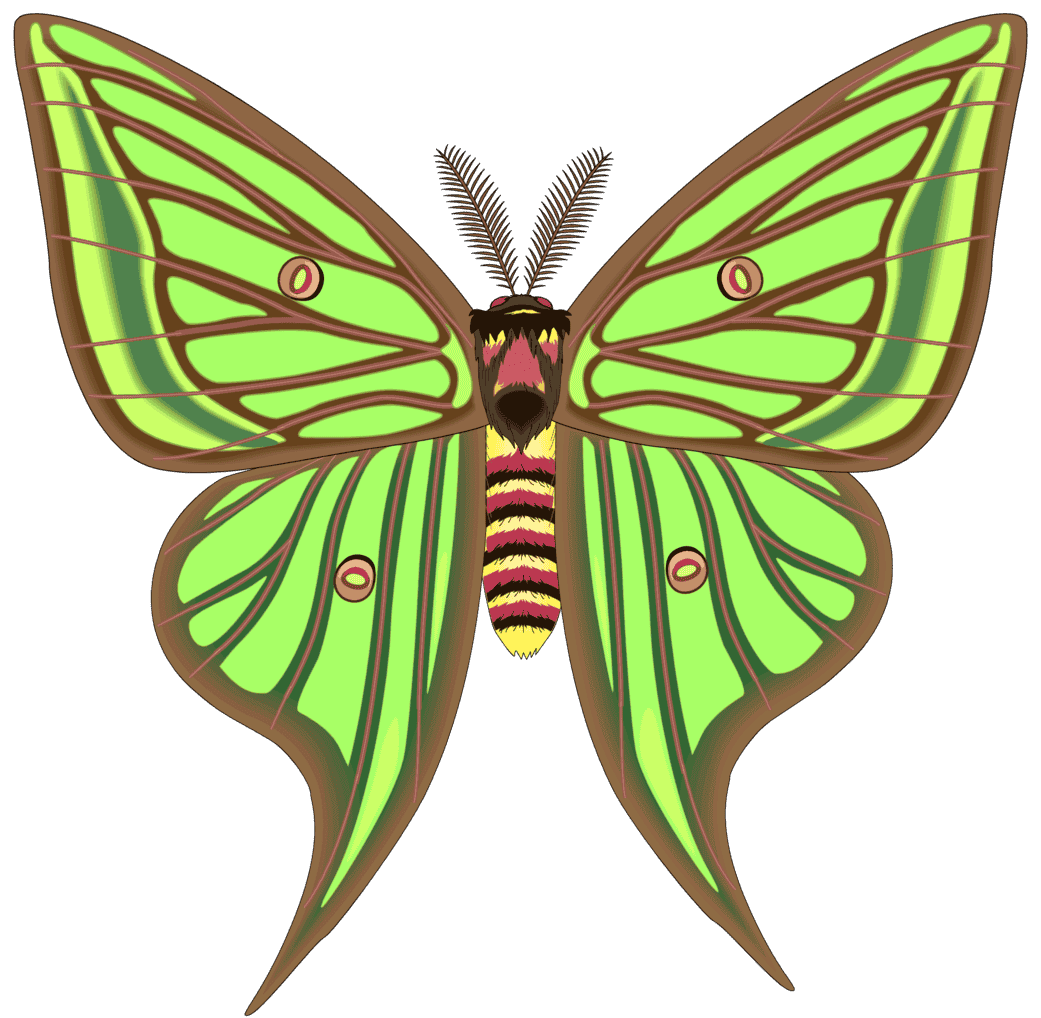 :MOONMOTH_PNG: