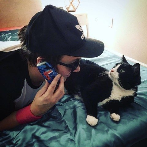 A man hanging out on a bed with a cat. The man is wearing a black baseball cap and black and white baseball shirt with a hot pink sweatband on his wrist. He is talking on the phone which is a Nokia 3310 in a Pepsi Max case.