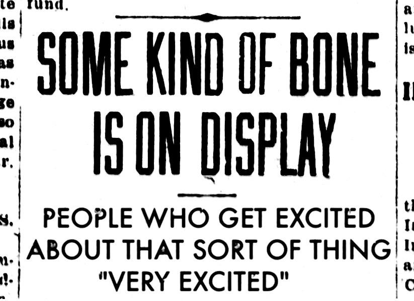 SOME KIND OF BONE IS ON DISPLAY 

PEOPLE WHO GET EXCITED ABOUT THAT SORT OF THING ARE VERY EXCITED

This is an old headline about a Dinosaur bone.