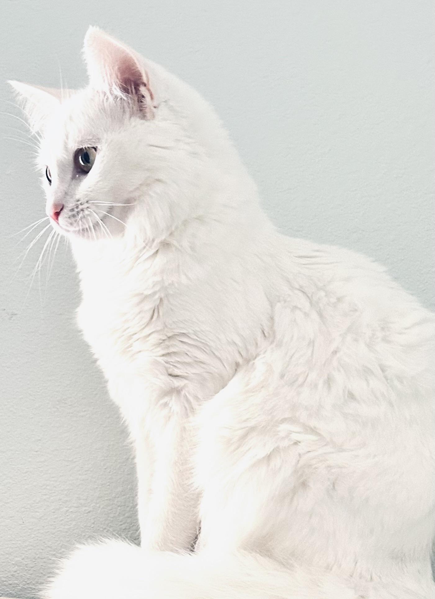Blume looking intently, like she’s lost in thought. 