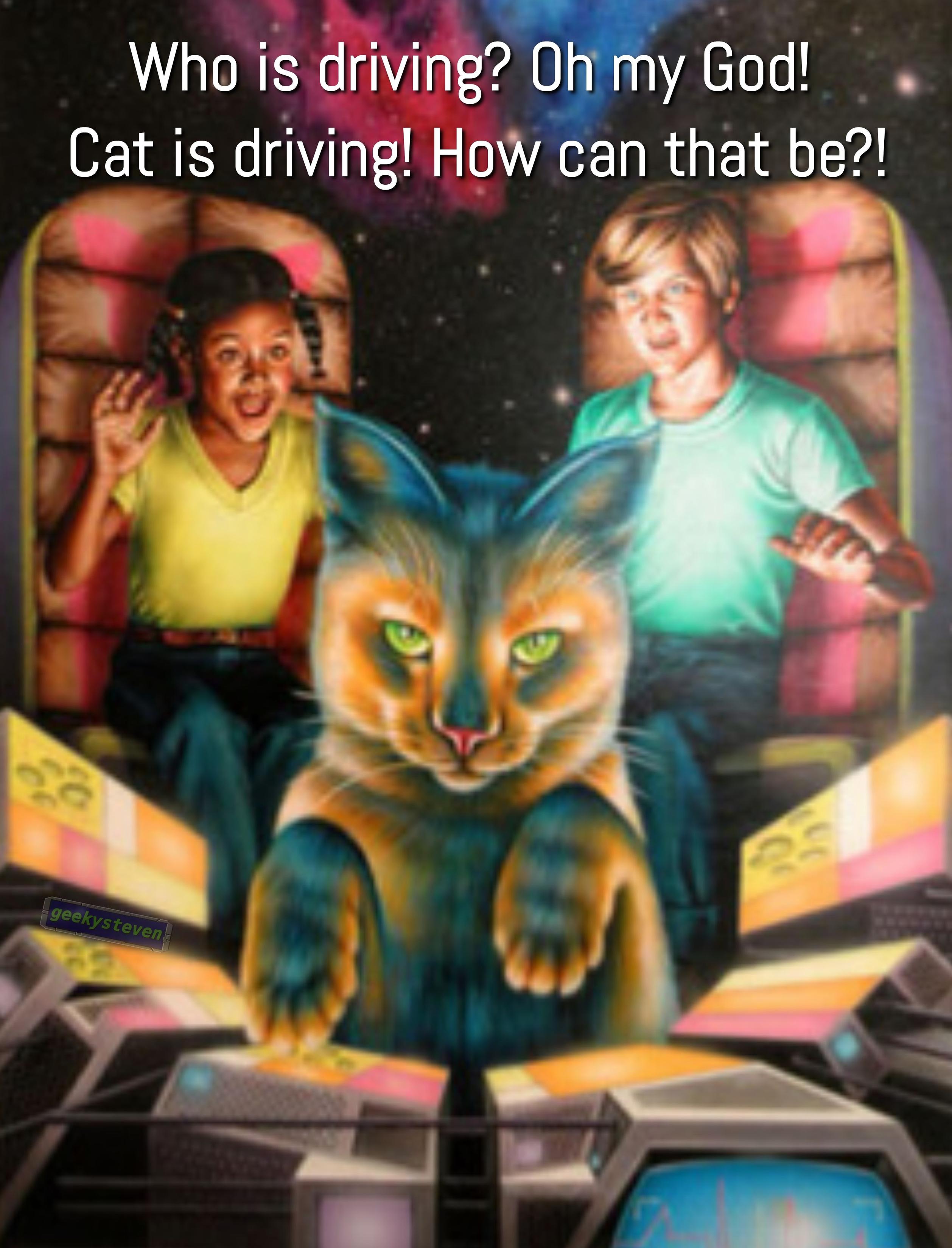 Illustration by Barclay Shaw of two kids in a spaceship that's being piloted by a cat. Text reads "Who is driving? Oh my God! Cat is driving! How can that be?!"