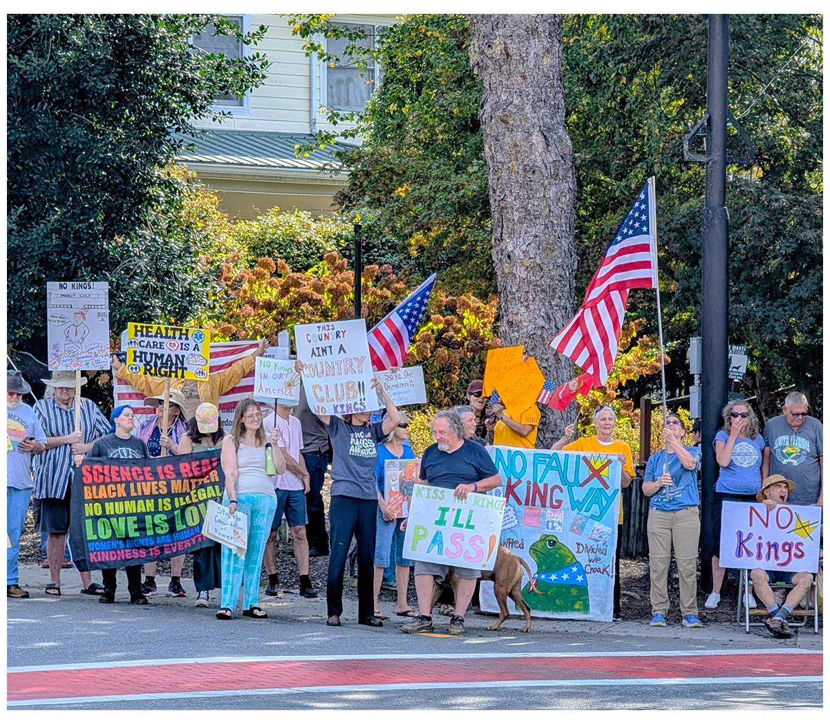 A group of people stand on a sidewalk holding protest signs and American flags. The signs have messages about science, health care, human rights, and opposition to authoritarianism.